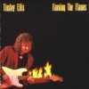 Fanning The Flames