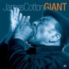 Giant 