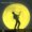 Hoodoo Moon