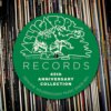 Alligator Records 45th Anniversary Collection Alligator Records 45th Anniversary Collection