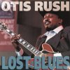 Lost in the Blues Lost in the Blues