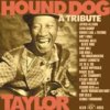 Hound Dog Taylor <I>A Tribute</I> Hound Dog Taylor <I>A Tribute</I>