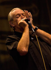 Musselwhite Musselwhite